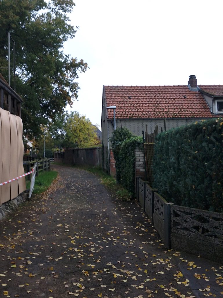 Herbstliche Strasse in der Gemeinde Weyhe