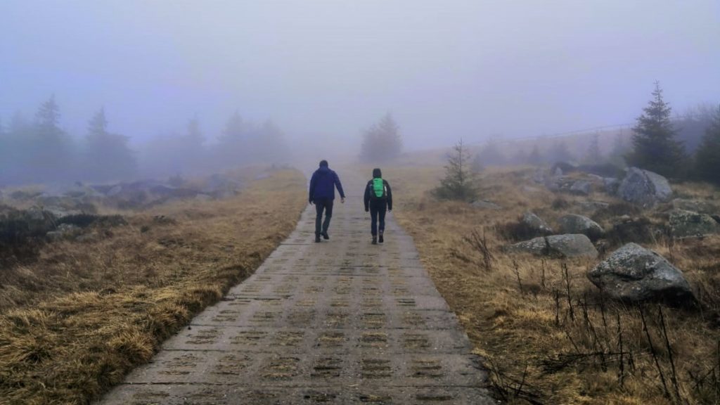 Zwei Menschen auf Wanderweg im Harz im Nebel