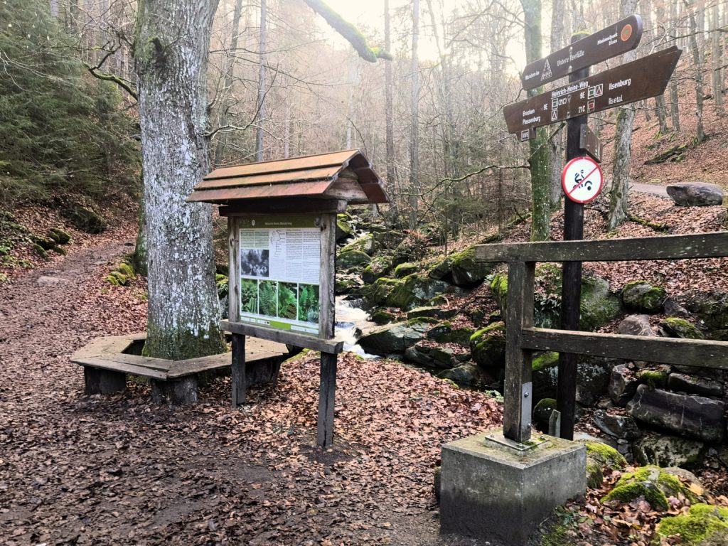Wegweiser, Bank und Bach im Laubwald im Harz