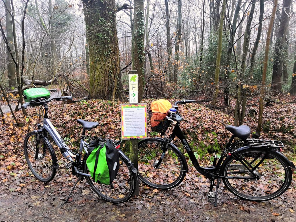 Zwei Fahrräder im Hasbrucher Urwald