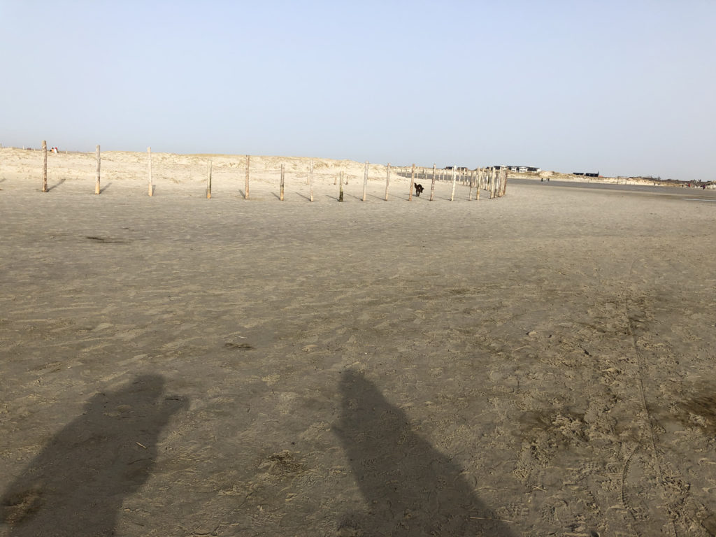 Schatten von zwei Frauen und Hund am Strand in St. Peter-Ording