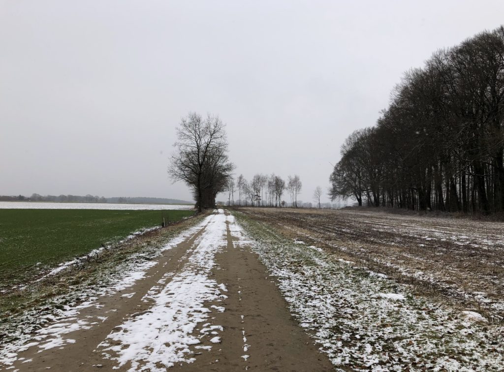 Wiesen und Wald mit etwas Schnee in Niedersachsen