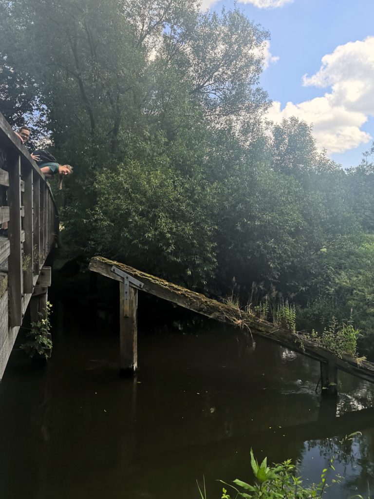 Holzbrücke über naturbelassenem Fluss