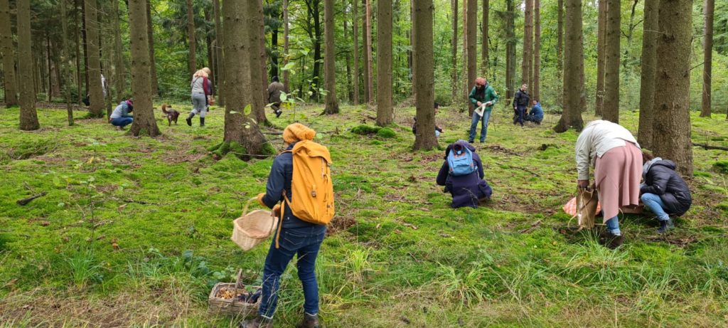 Eine Gruppe Menschen sammelt Pilze im Wald