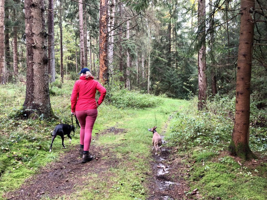 Frau mit zwei Hunden im Wald